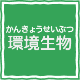 環境生物