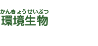 環境